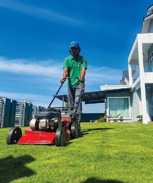 LAWN CARE (1)